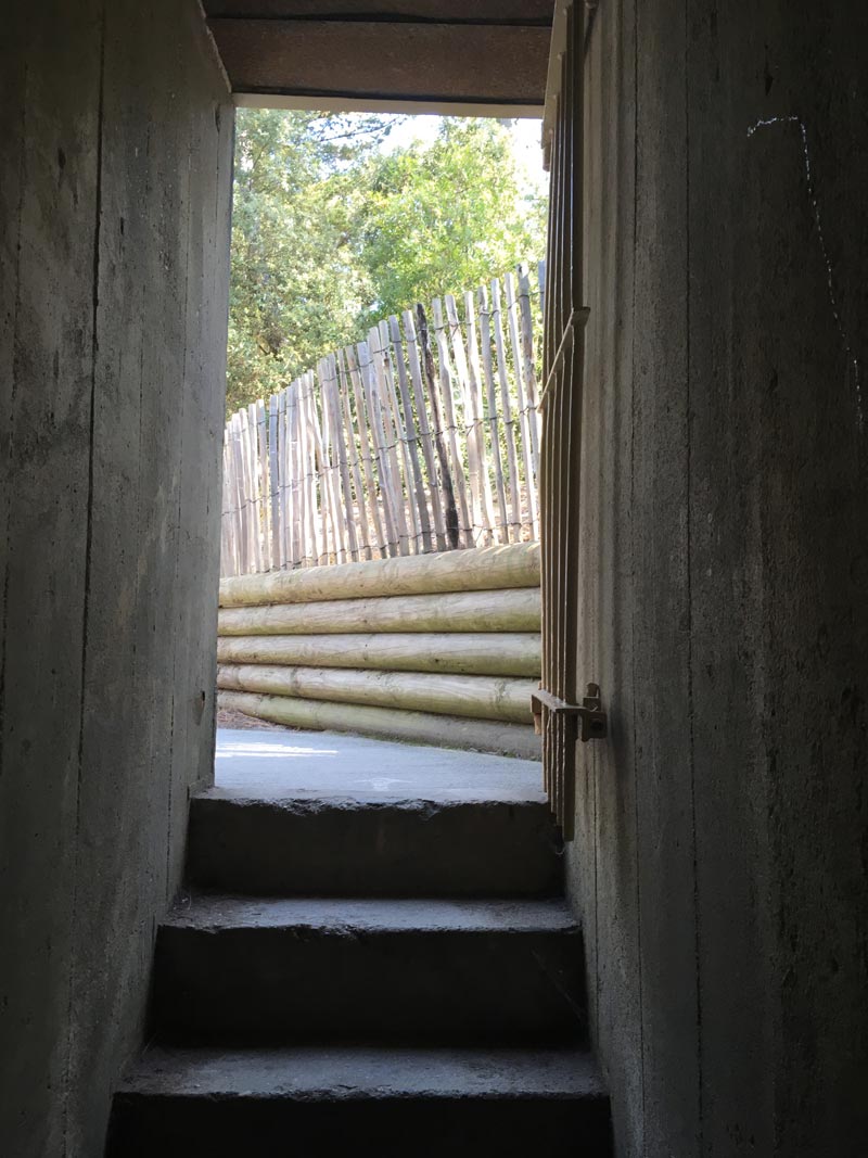 Escalier de sortie du bunker.