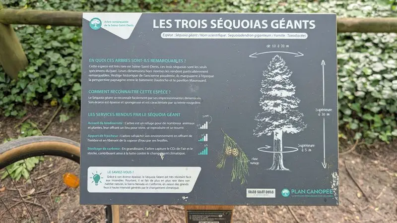 Le panneau du parcours des arbres remarquables consacré aux trois séquoias géants.