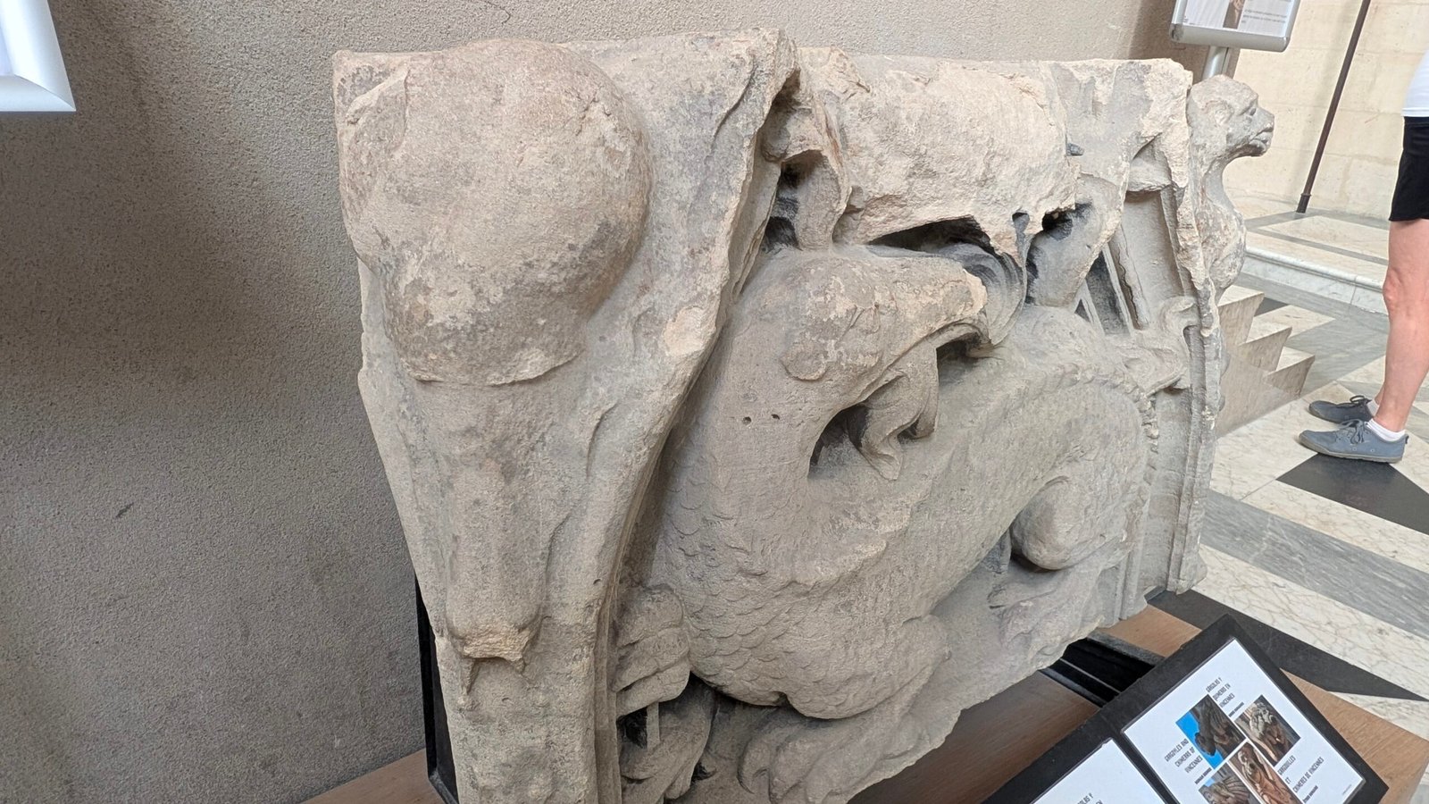 Détail du vestige Pourquoi une salamandre de François Ier se cache-t-elle dans la Sainte-Chapelle ?