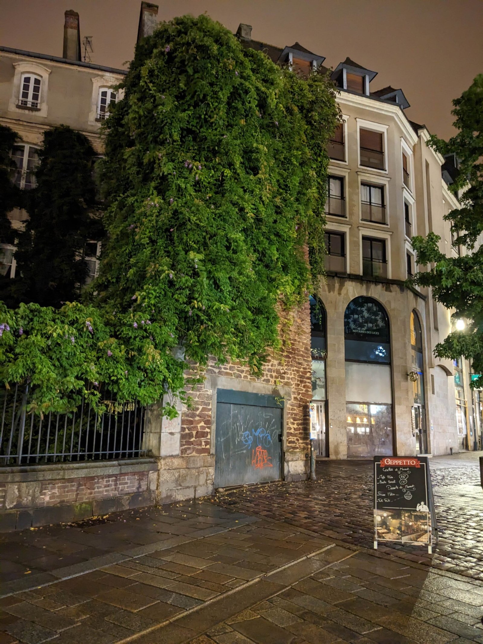 Derrière cette glycine se cache un morceau des anciens remparts de Rennes